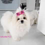 Lulu Guiness Yorkville FCI