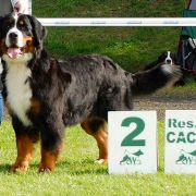 MADEMOISELLE Source of Happiness FCI 2