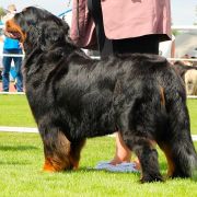 MADEMOISELLE Source of Happiness FCI 3