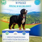 MADEMOISELLE Source of Happiness FCI 4