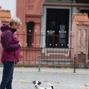 Mała Panda Francuska Zgraja