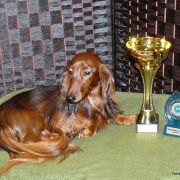 MAN OF LA MANCHA Taniec Motyla (FCI) 2