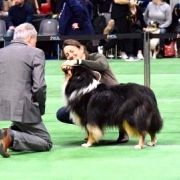 Mandinka Dobry Duch 3