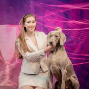 MATA HARI Weimaraners House