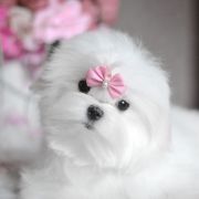 Melani love Melody Princess 3