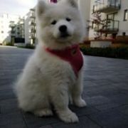 Melody Samssie AMAZING CANDY 2