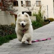 Melody Samssie AMAZING CANDY 3