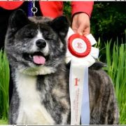 Mikumo Go Hinai Ougi