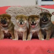 Miot Y.2 - Ambasadorowe Dzieci 