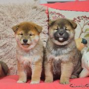 Miot Y.2 - Ambasadorowe Dzieci 