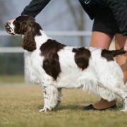 Mirabelka Via Del Campo