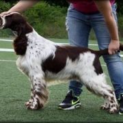 Mirabelka Via Del Campo 2