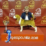 MIRACLE OF EARTH Pocket Joy