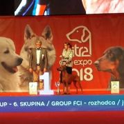 MIRACLE OF EARTH Pocket Joy 2