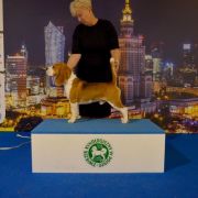 MIRACLE OF EARTH Pocket Joy 3