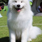 Mishka na Severe EVENT HORIZON 