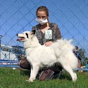 MISJA Zimowy Zmierzch 