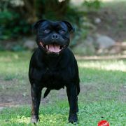 MISS BITIS du Domaine de Poudlard 2