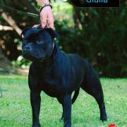 MISS BITIS du Domaine de Poudlard 3