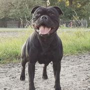 MISS BITIS du Domaine de Poudlard 4