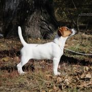 Mister Prince Heavenly-Blessing