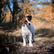 Mister Prince Heavenly-Blessing