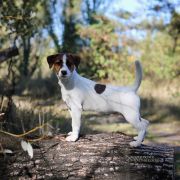 Mister Prince Heavenly-Blessing