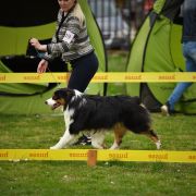 MITCHELL Star Snow Winner