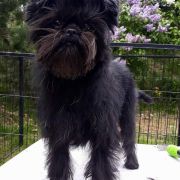 Mł.Ch.Pl CREA DIEM ALICE 2