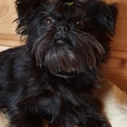 Mł.Ch.Pl CREA DIEM ALICE 3