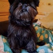 Mł.Ch.Pl CREA DIEM ALICE 4