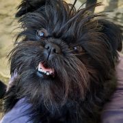 Mł.Ch.Pl CREA DIEM ALICE 