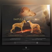 MM Impuls i Splendor whippet 