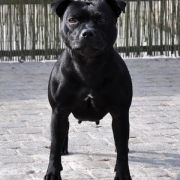 Monday Morning Z Jorwik