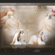 CIB,,ZwKL21'22'23,Zw.PL'22 '23 ARSSUNTIA FCI ARIA 