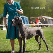 MultiCh Traumtall Knyazhna