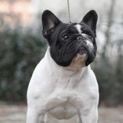 Navon Of My Sweet Moments