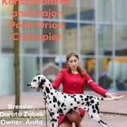  NEIVA OF AFRICA Kontradomino 3