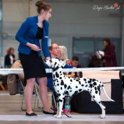  NEIVA OF AFRICA Kontradomino 4