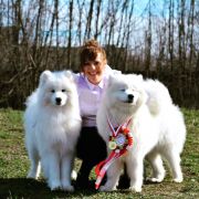 NESSIE O'BRODVER Virta Valo FCI 3