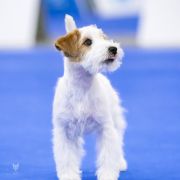 NEVER GIVE UP HEAVENLY-BLESSING