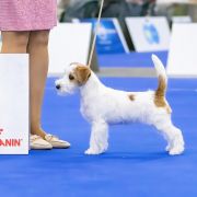 NEVER GIVE UP HEAVENLY-BLESSING