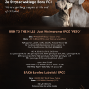 New litter is coming