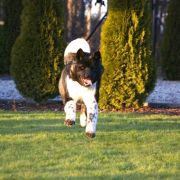 Terra Di Amore EVGENIKA 3