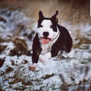 Nimiloxus Nasha Narcotic Dream