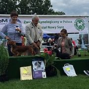 NIRRTI NASIRA Kollapsar FCI 3