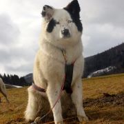 NIRVANA Zimowy Zmierzch 