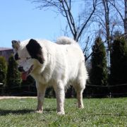 NIRVANA Zimowy Zmierzch 2