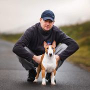 Notforyou AMAZING FOR FITBULL