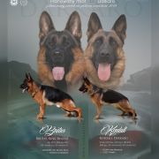 Розплідник